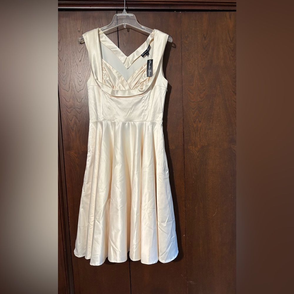 Candice Gwinn Honey Dress Size 10 NWT